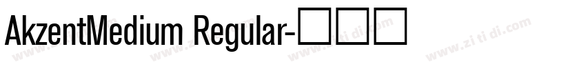 AkzentMedium Regular字体转换